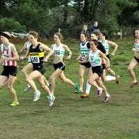 Hants XC Championship 2012