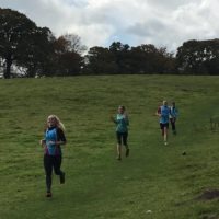 Sue Lee XC 2018